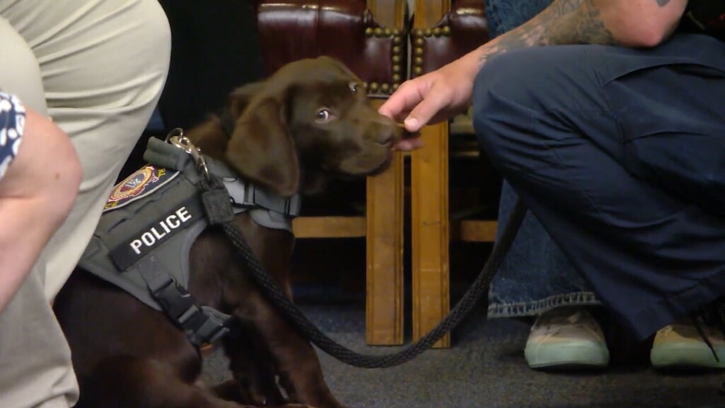 K 9 Bo Officially Sworn In As Member Of Newport Police Department
