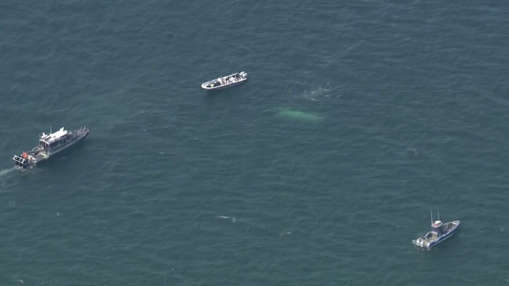 2 Bodies In The Process Of Being Identified After Being Found On Missing Boat Off Cape Cod