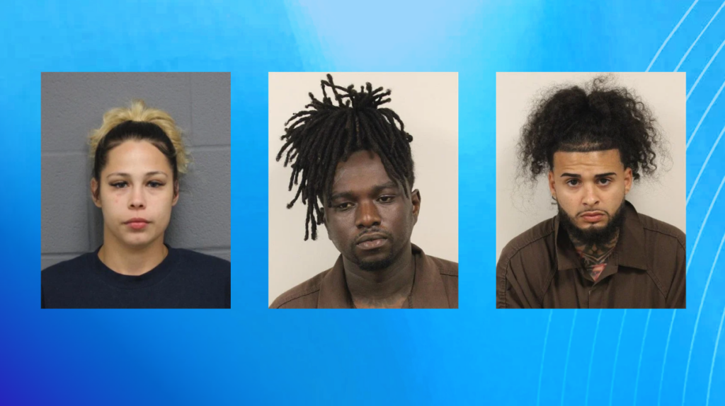 Webster Arrest Suspects
