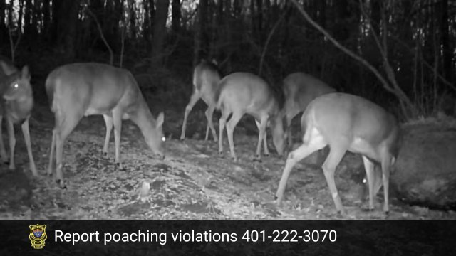 564176097 1230170692472667 6890487192752455797 N