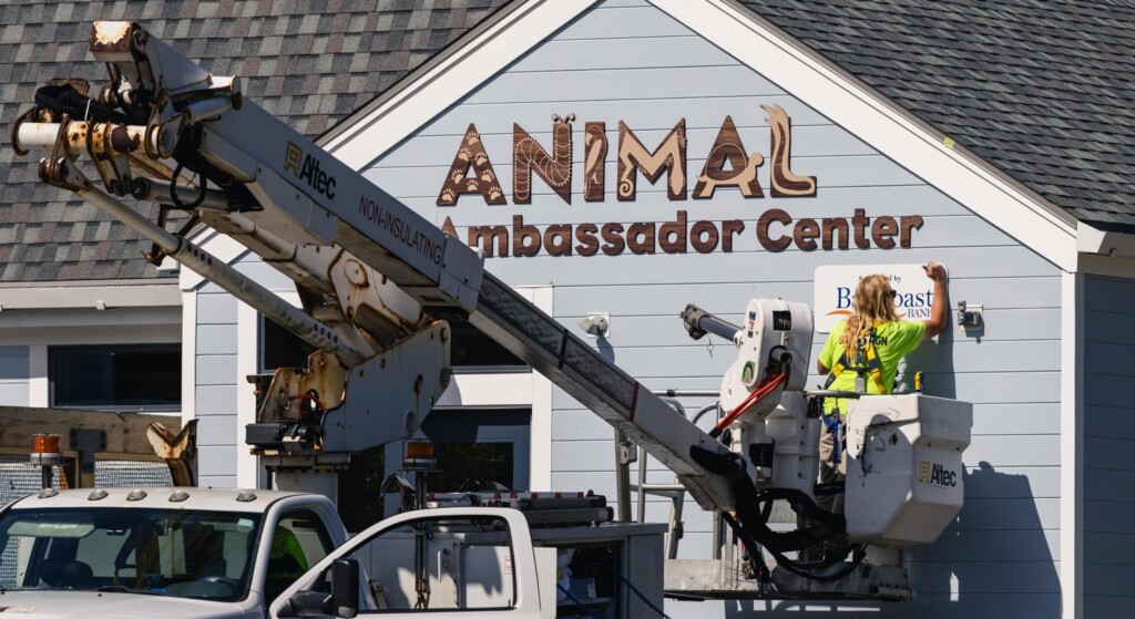 557529734 1214169247420983 5528147095627131669 N