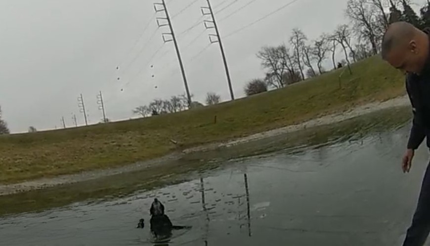 603900552 1293617236132976 8106781342517028352 N 1