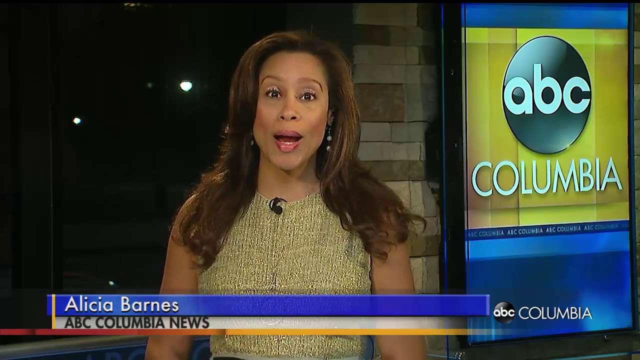 Watch: Looking for Cheap Gas in the Midlands? - ABC Columbia