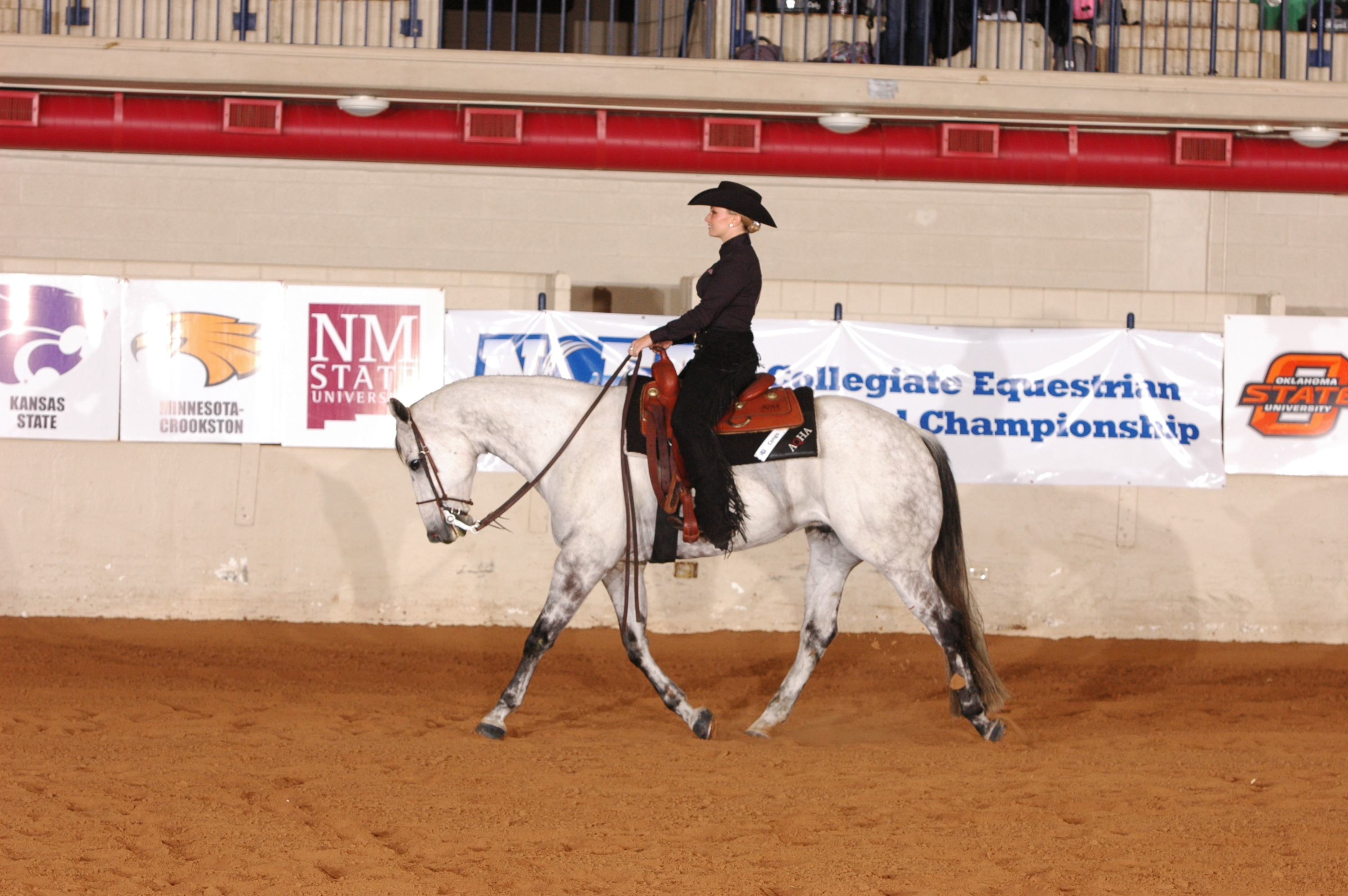 Georgia-Carolina Equestrian Rescheduled to Sunday - ABC Columbia