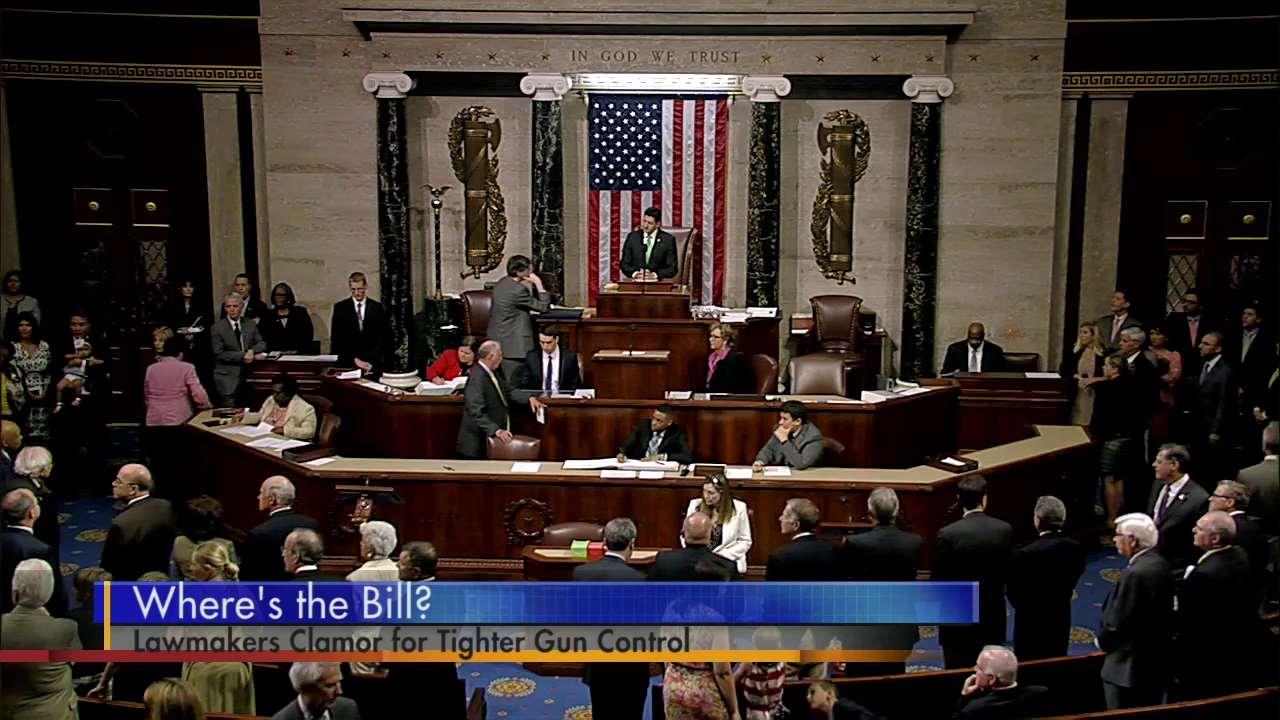 WATCH: Lawmakers Call for Tougher Gun Control - ABC Columbia
