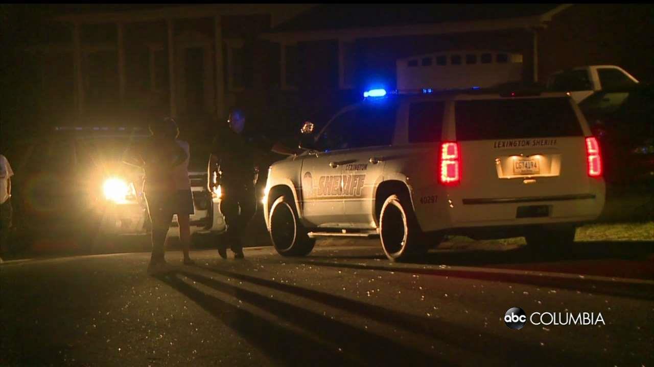 84 Year Old Woman Run Over, Killed in Driveway - ABC Columbia