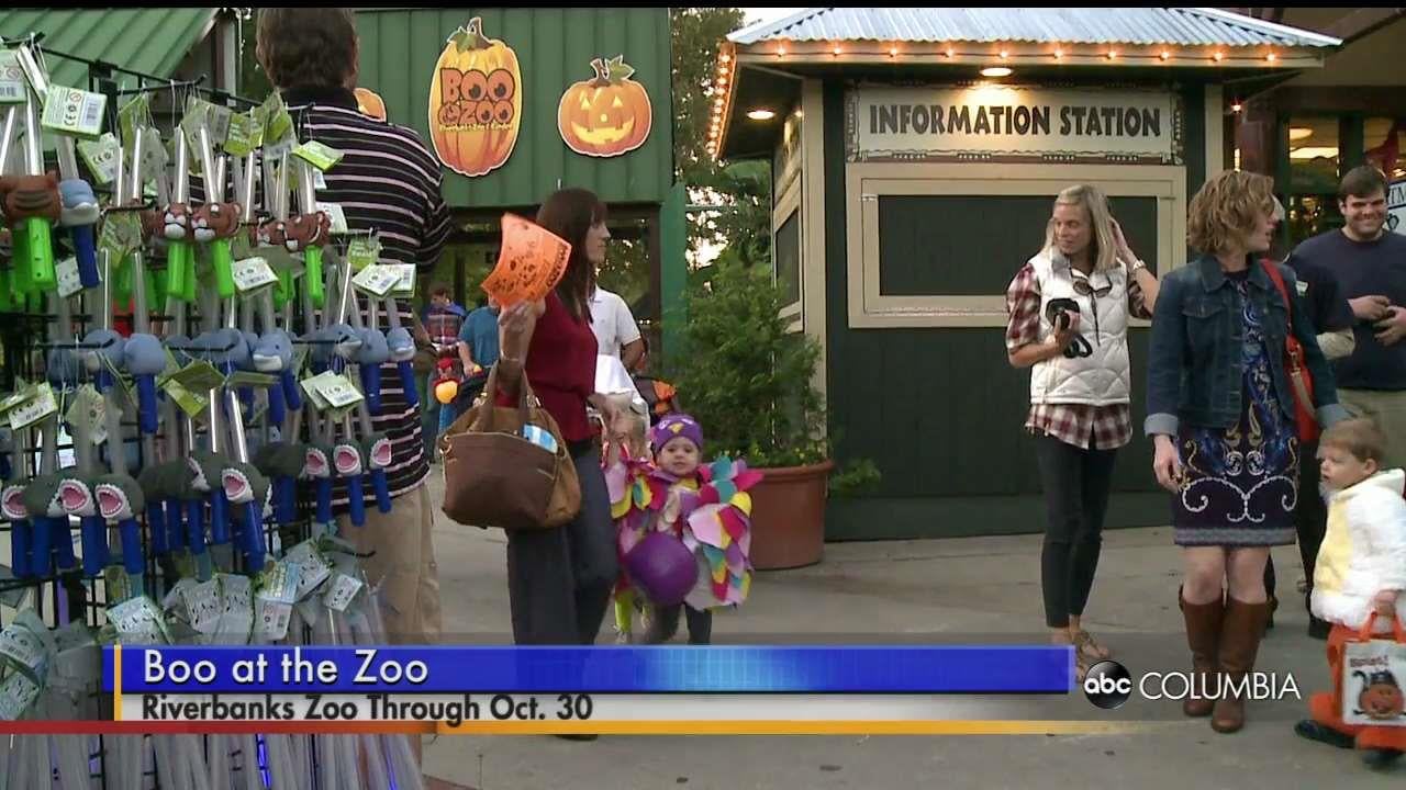 Boo at the Zoo underway at Riverbanks Zoo - ABC Columbia