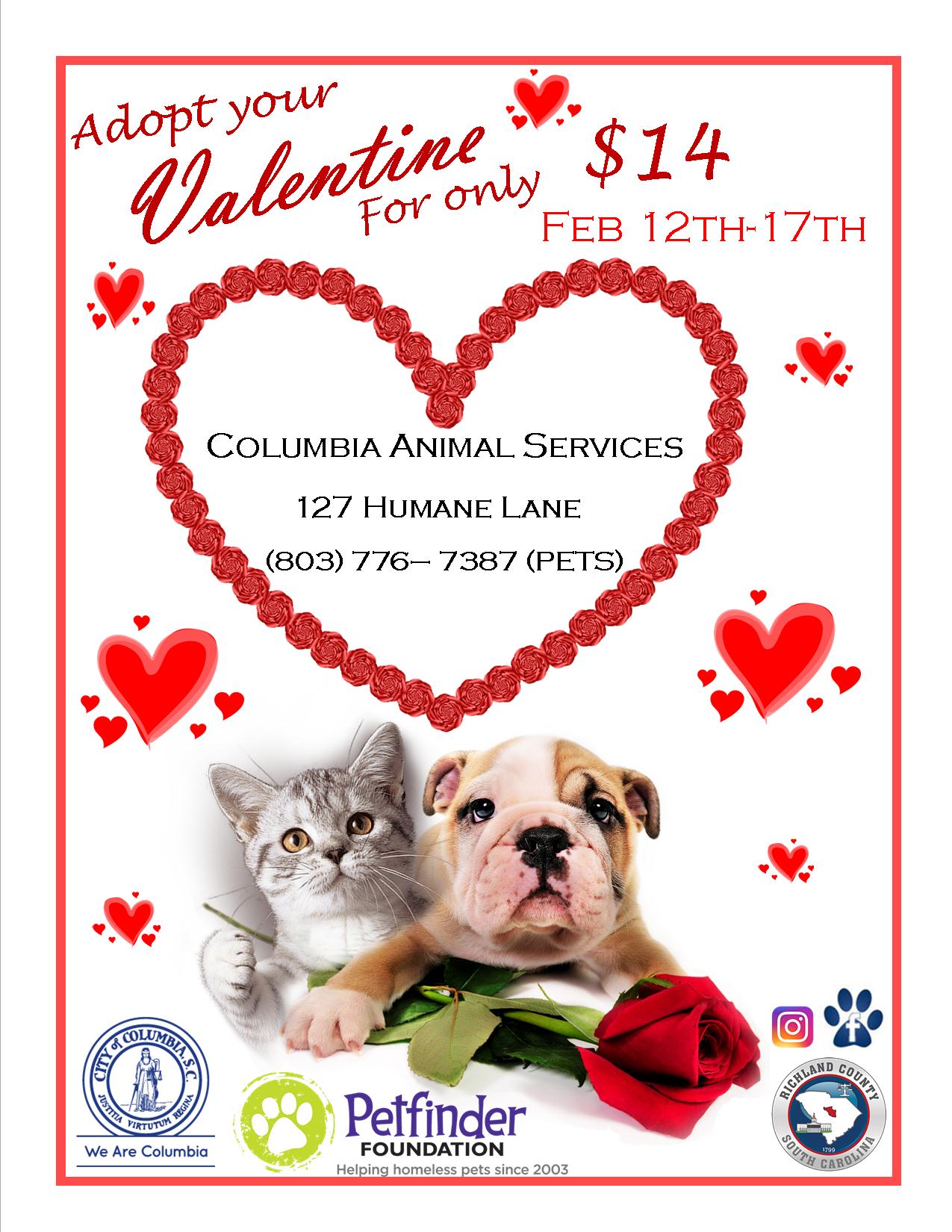 Pet Adoption Special for Your Valentine - ABC Columbia