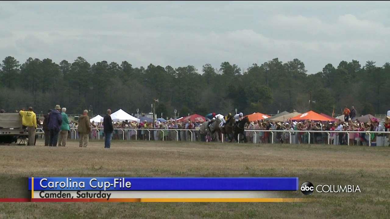 Carolina Cup at Springdale Race Course ABC Columbia