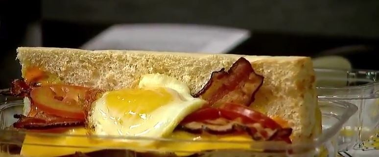 tyler ryan which wich