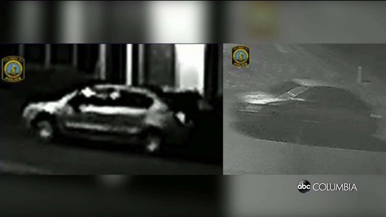 CPD surveillance pictures released in McRae Street shooting ABC