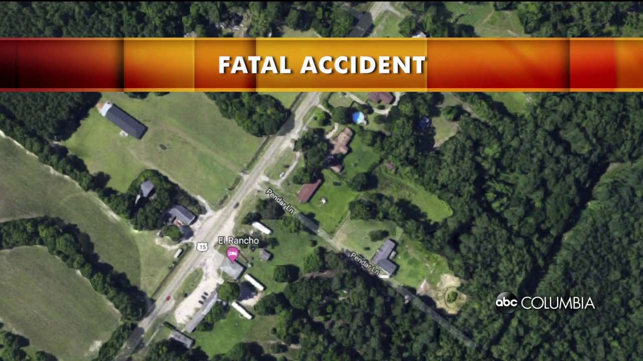 Troopers: Sumter woman struck and killed - ABC Columbia