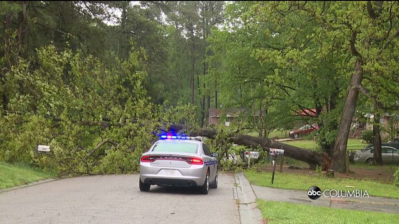 Storm caused downed trees and debris in the Midlands - ABC Columbia