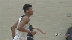 Gray Collegiate Whale Branch Preview