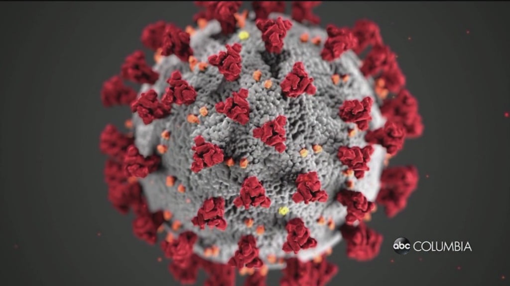 How Long Can Coronavirus Last On Various Surfaces?