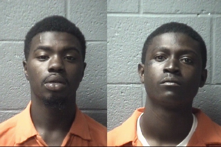 Gardener Bell Murder Mugs