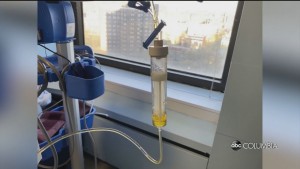 Blood Plasma Donors Wanted