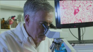 Convalescent Plasma Research