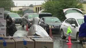 Harvest Hope And Corona