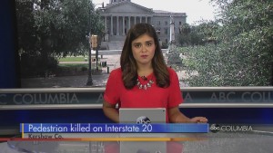 Pedestrain Killed While Walking To Rest Area