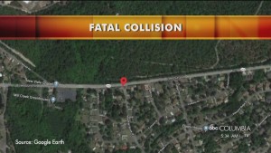 Leesburg Road Fatal Collision