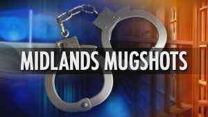 ABC Columbia Midlands Mugshots