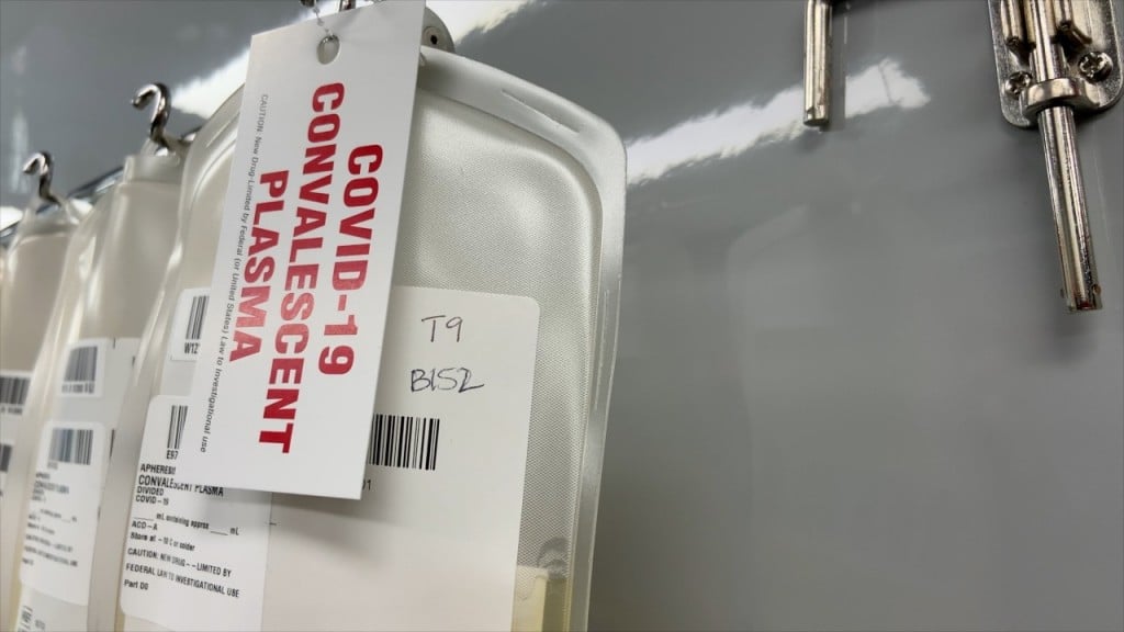 W6 P Plasma Donation 2