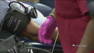 Red Cross Antibodies