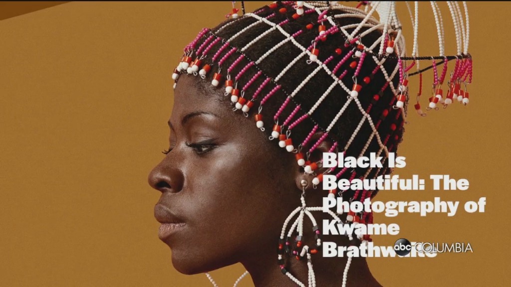 Black Is Beautiful Exhibit