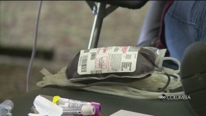 Red Cross Blood Drive