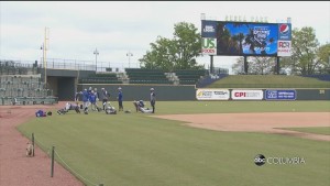 Minor League Cancels 2020 Season