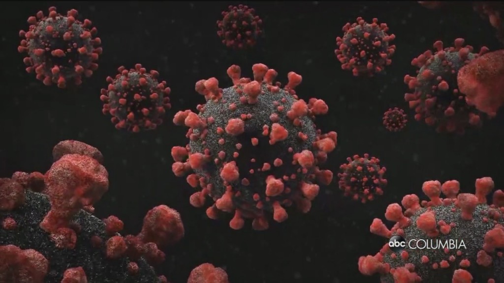 Here's How People Can Volunteer For Covid 19 Vaccine Trials