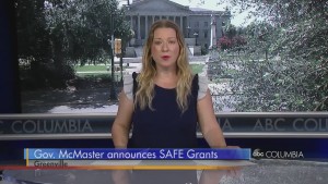 Safe Access To Flexible Education Grants