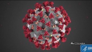 The Latest Coronavirus Number In Sc