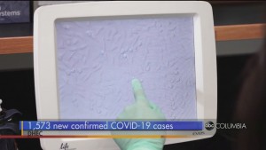 1,500+ Cases Of Covid 19 In Sc