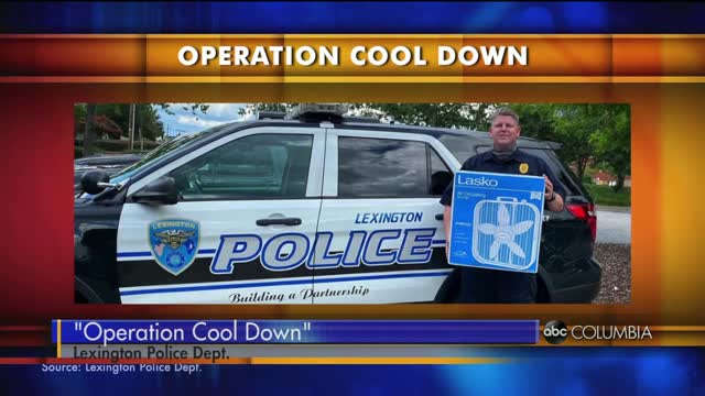 Cool Down