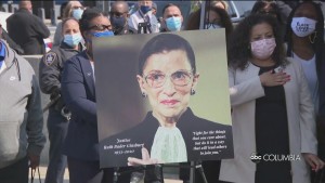Rbg Uofsc Law Professor