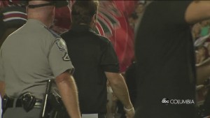 Gamecock Gameweek Package