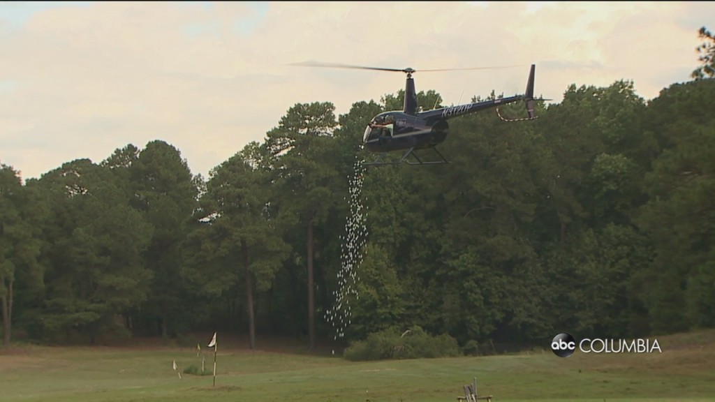 Golf Ball Drop