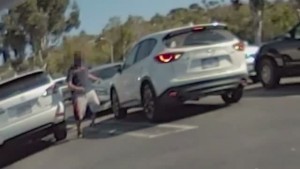 Alleged Attempted Kidnapping San Diego California