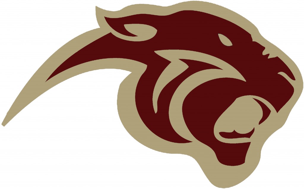 Maroon And Gold 1 Panther