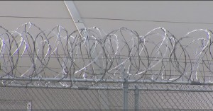 Covid Cases In Prison