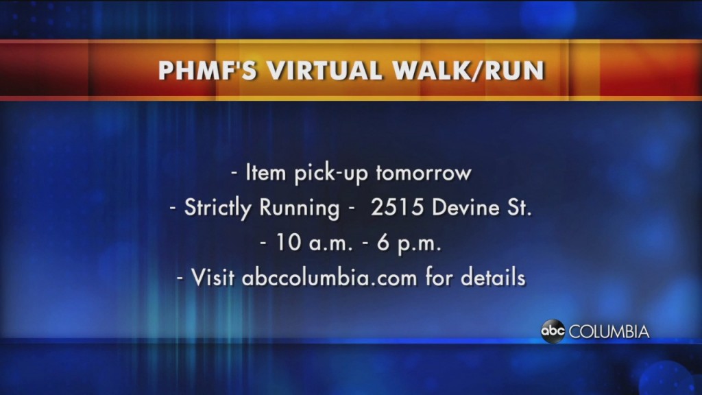Phmf Virtual