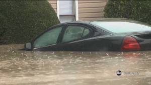 Office Of Resilience