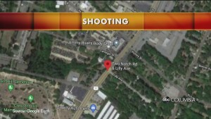 Lilly Ave Shooting