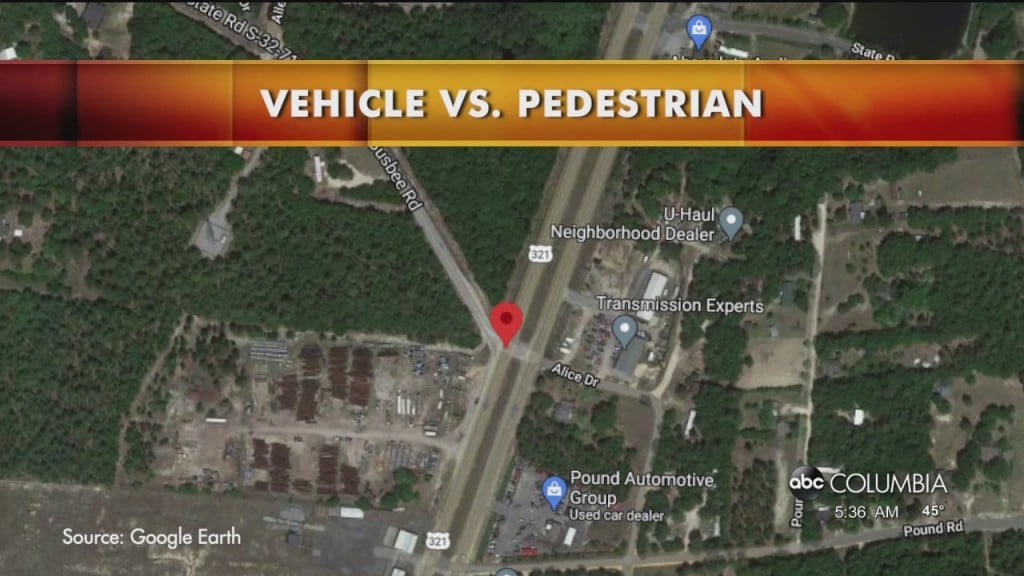 Hwy 321 Fatal