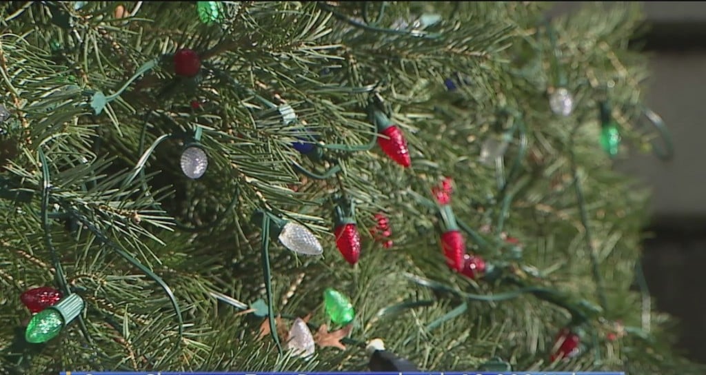 State House Tree Lights