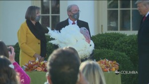 Turkey Pardon