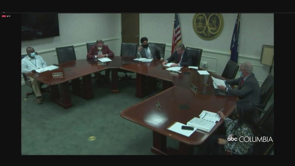 New Dhec Director