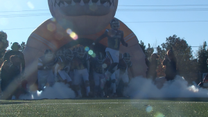 Camden Falls In 3a Title Game